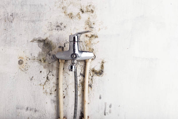 Water Damage Restoration in Wild Peach Village, TX