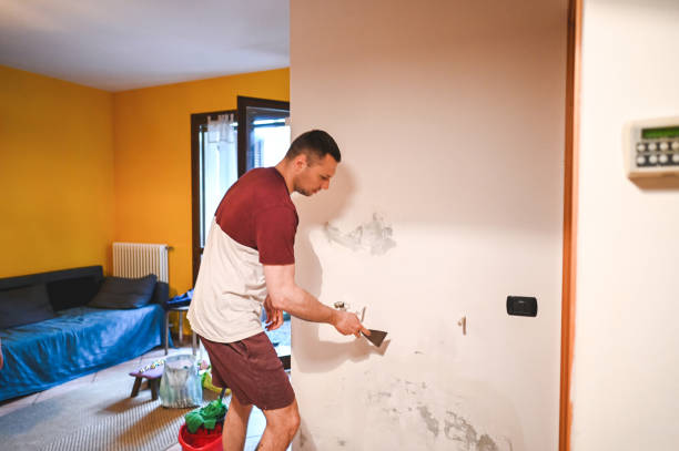 Best Home Mold Removal  in Wild Peach Village, TX